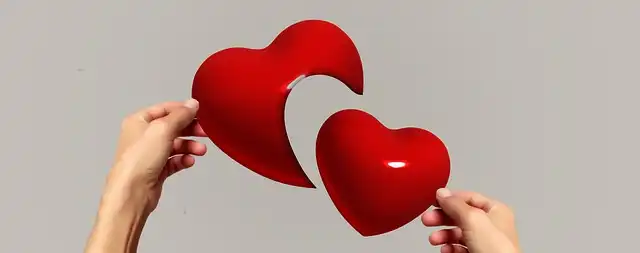 Let’s Call the Whole Thing Off: Love, Loss & Comedy